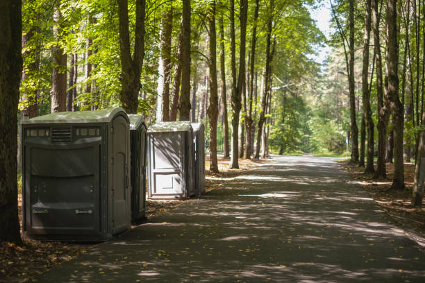 Best Portable bathroom rental  in Cobden, IL